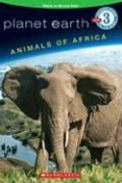 Animals Of Africa - Lisa L. Ryan-Herndon (Scholastic Press - Paperback) book collectible [Barcode 9780545080811] - Main Image 1