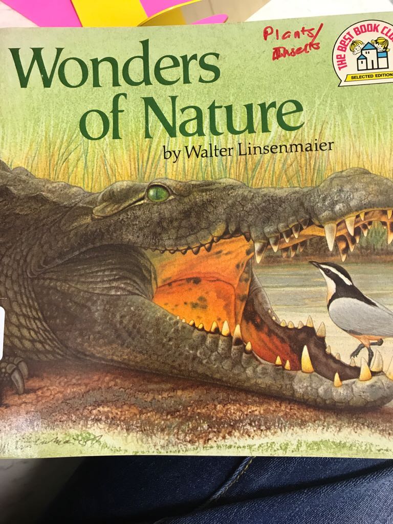 Wonders Of Nature