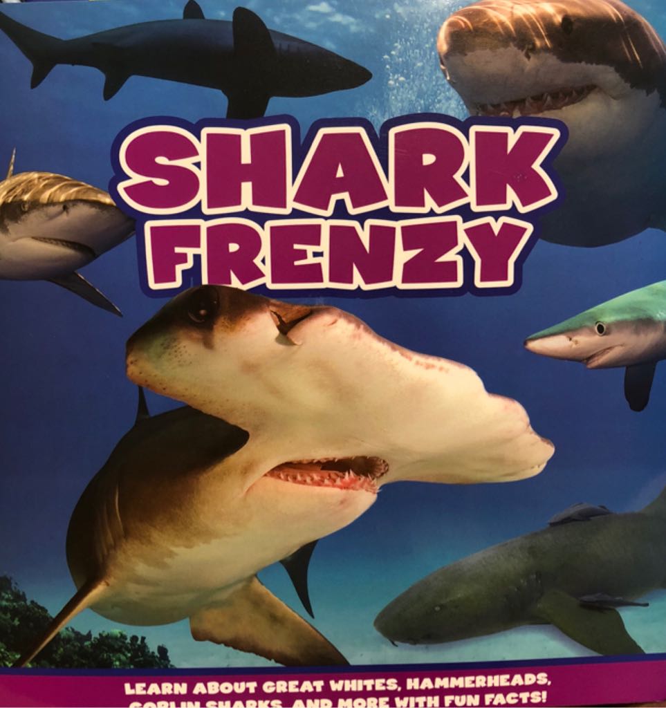 Shark Frenzy