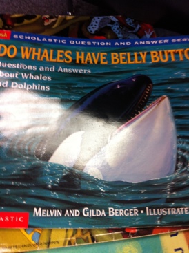 Do Whales Have Belly Buttons - Melvin And Gilda Berger (- Paperback) book collectible [Barcode 9780439085717] - Main Image 1