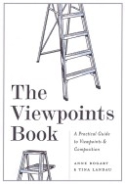 Viewpoints Book, The