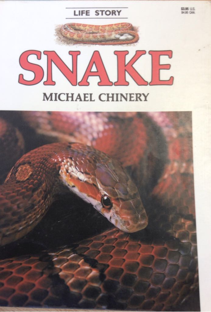 Snake