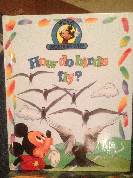 How Do Birds Fly?