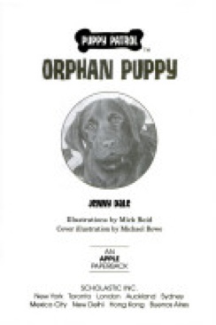Orphan Puppy