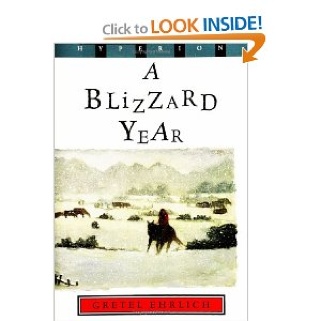 Blizzard Year: Timmy’s Almanac of the Seasons, A