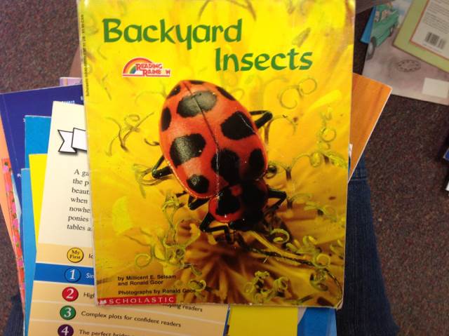 Backyard Insects - Ronald Goor (Scholastic Paperbacks - Paperback) book collectible [Barcode 9780590422567] - Main Image 1