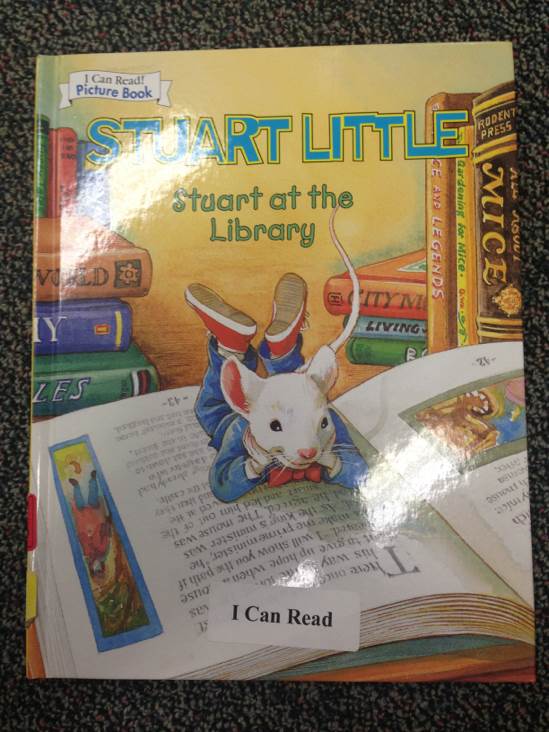 Stuart At The Library