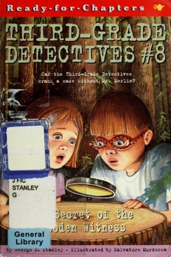 The Secret Of The Wooden Witness
