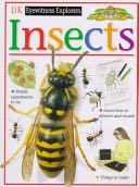 Insects