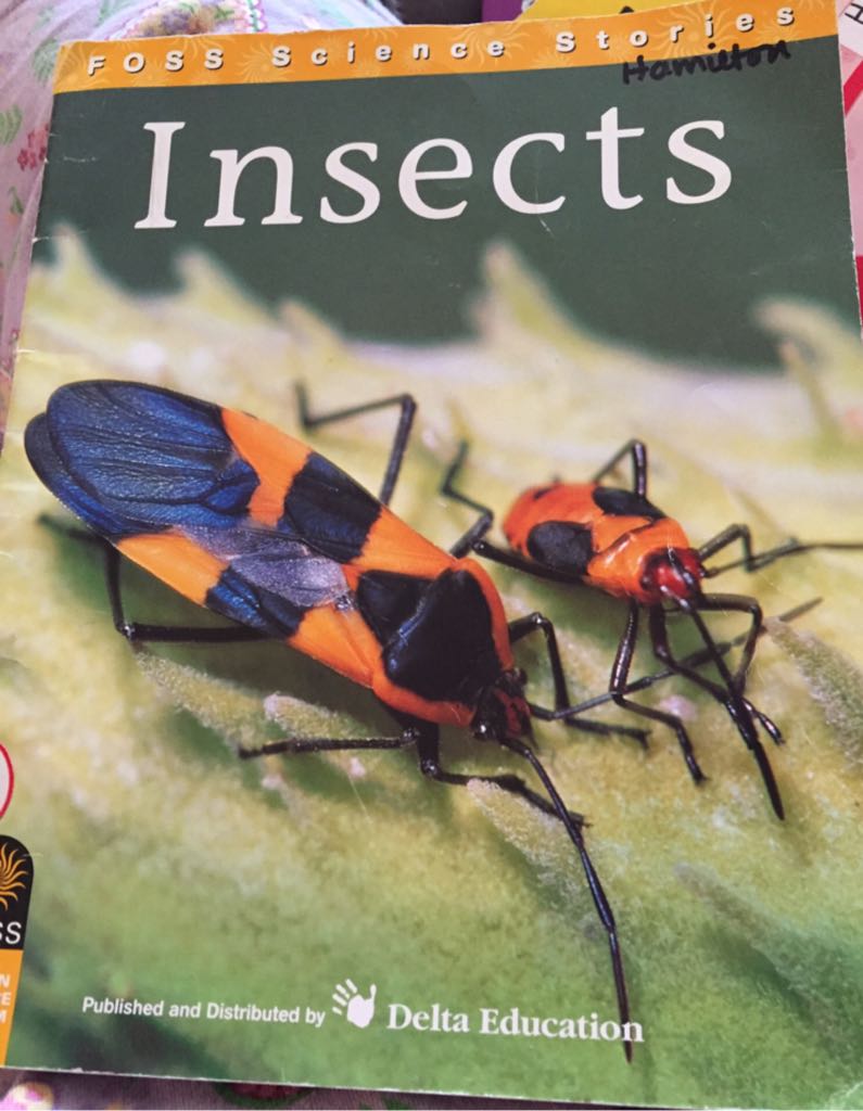Insects