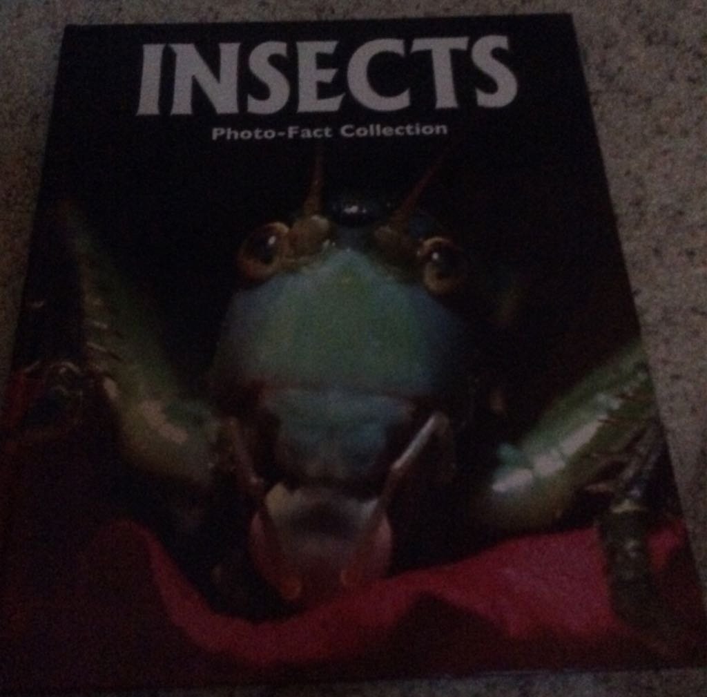 Insects