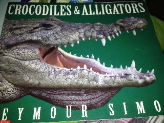 Crocodiles & Alligators