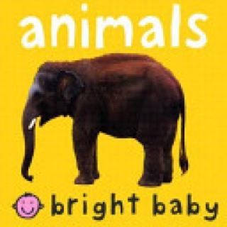 Animals - Priddy Books (Priddy Books - Board Book) book collectible [Barcode 9780312492489] - Main Image 1