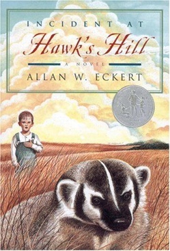 Incident at Hawk’s Hill - Allan W. Eckert (Yearling - Paperback) book collectible [Barcode 9780316209489] - Main Image 1