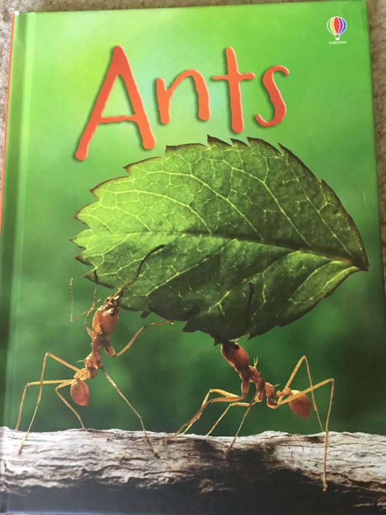 Ants - Melvin And Gilda Berger book collectible [Barcode 9780794536657] - Main Image 1