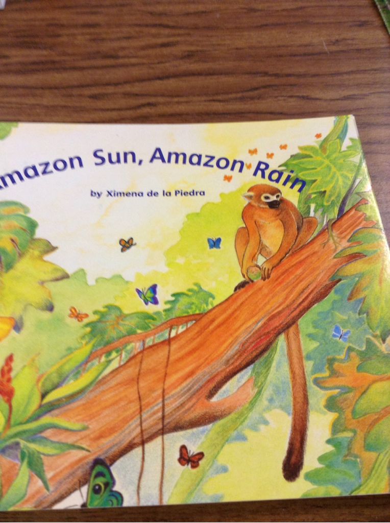 Amazon Sun, Amazon Rain - Ximena de (Scholastic - Paperback) book collectible [Barcode 9780590273695] - Main Image 1