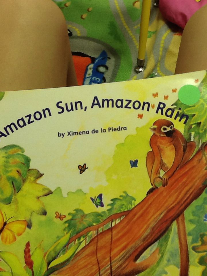 Amazon Sun, Amazon Rain - Ximena de La Piedra (Scholastic Inc. - Paperback) book collectible [Barcode 9780590739870] - Main Image 1