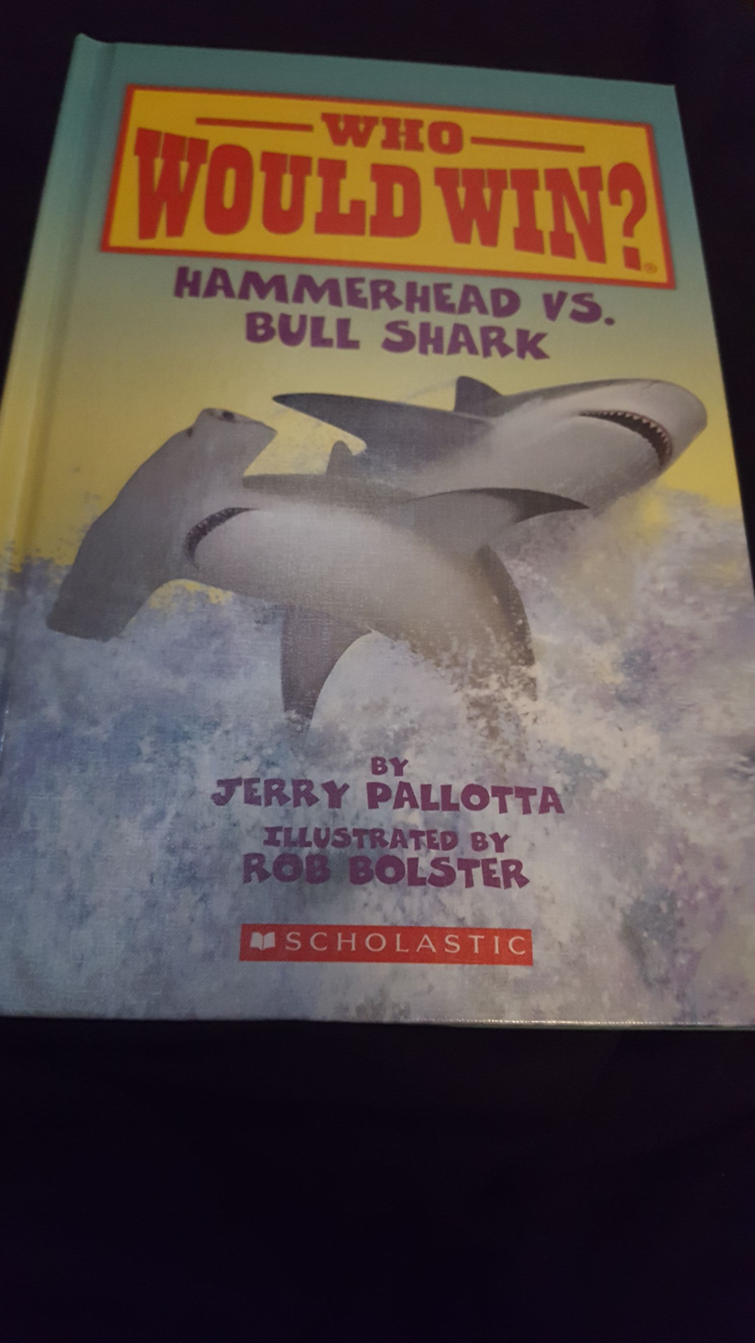 Hammerhead vs. Bull Shark