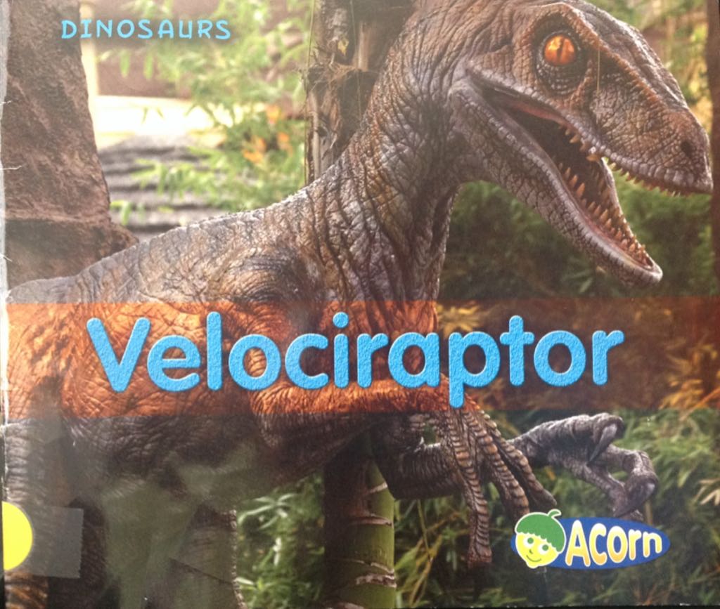 Velociraptor