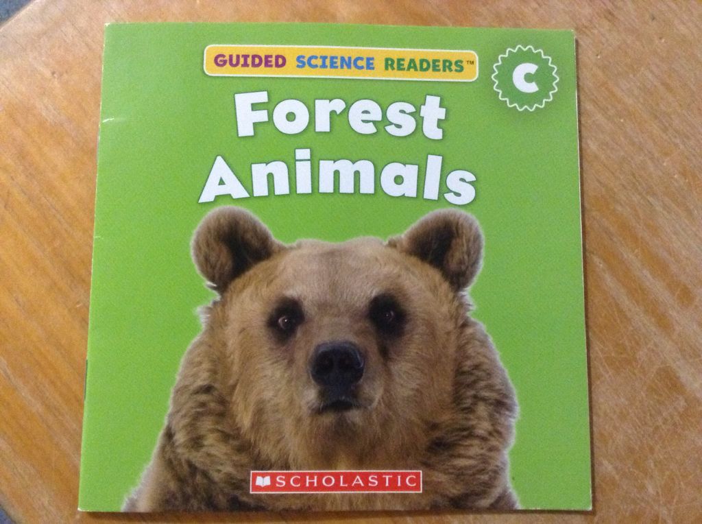 Forest Animals
