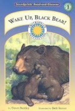 Wake Up Black Bear!