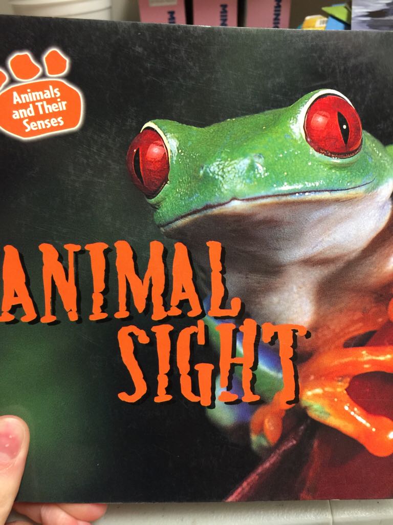 Animal Sight - Kristen Hall book collectible [Barcode 9780836874938] - Main Image 1