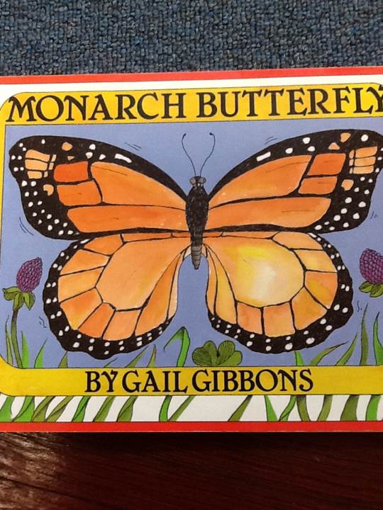 Monarch Butterfly