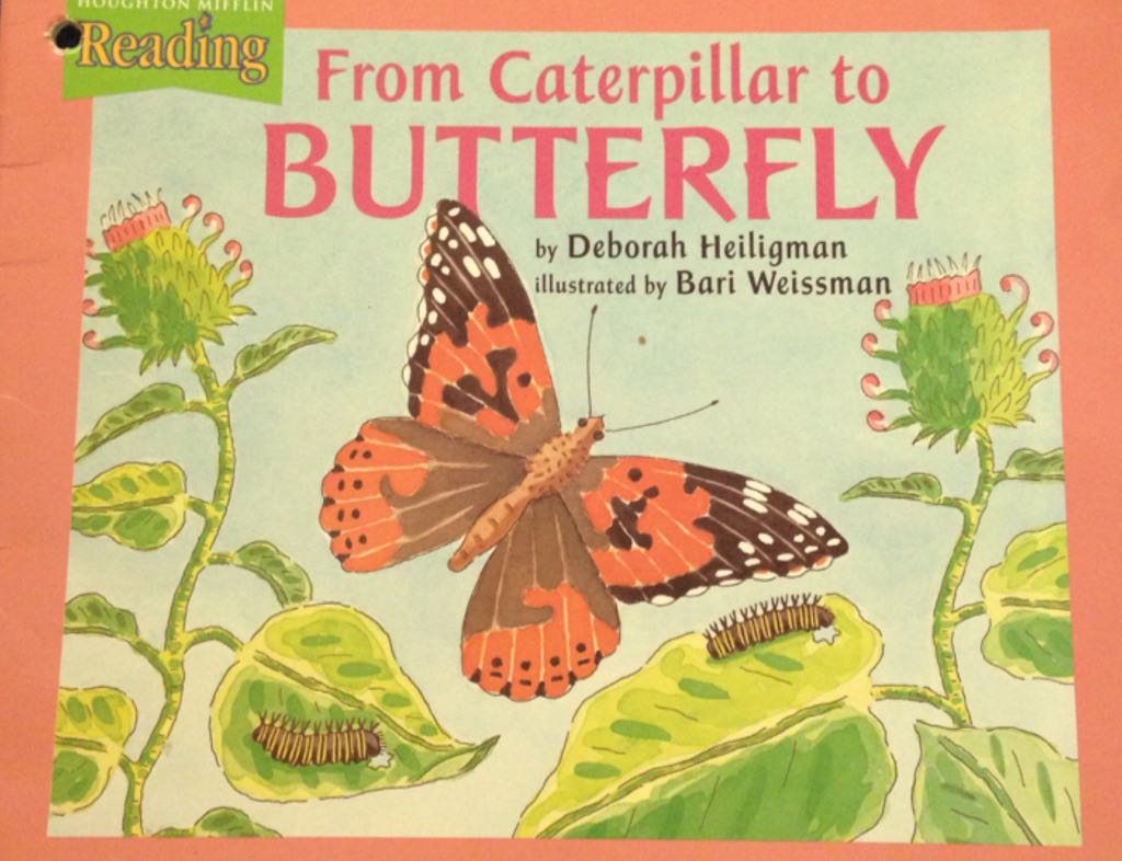 Houghton Mifflin Reading