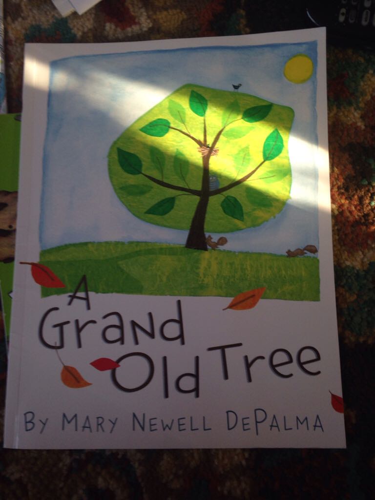 A Grand Old Tree