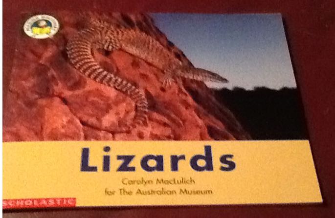 Lizards