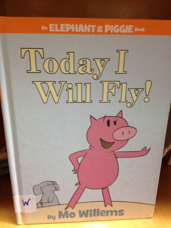 Today I Will Fly