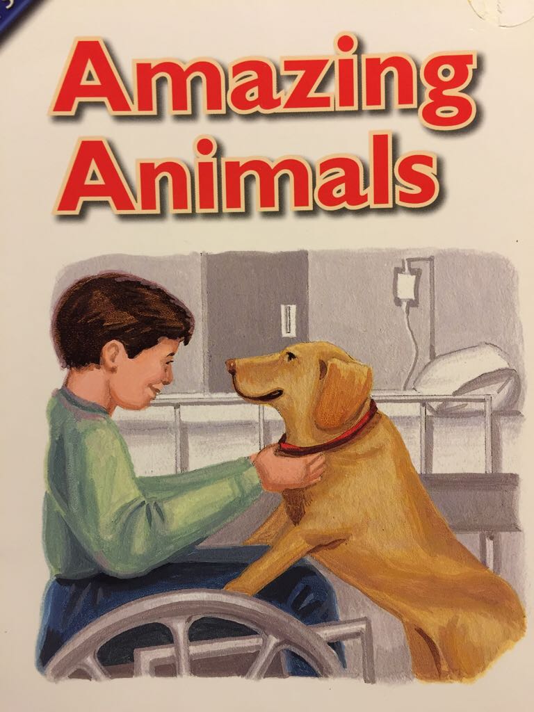 Amazing Animals - Lisa Fields book collectible [Barcode 9780328132492] - Main Image 1