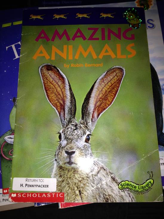 Amazing Animals - Time-Life Books (A Scholastic Press - Paperback) book collectible [Barcode 9780590162524] - Main Image 1