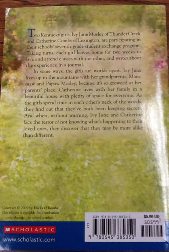 Faith, Hope, And Ivy June - Phyllis Naylor (- Paperback) book collectible [Barcode 9780545385350] - Main Image 2