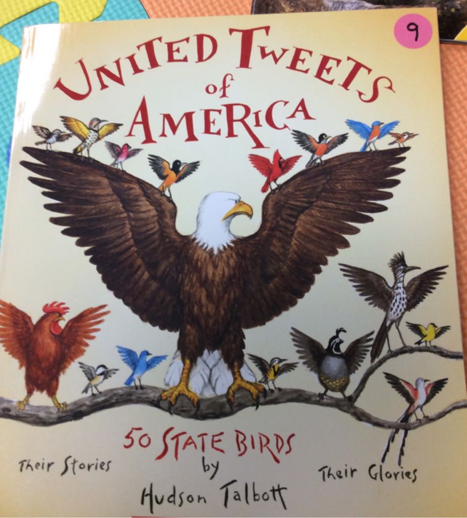United Tweets Of America