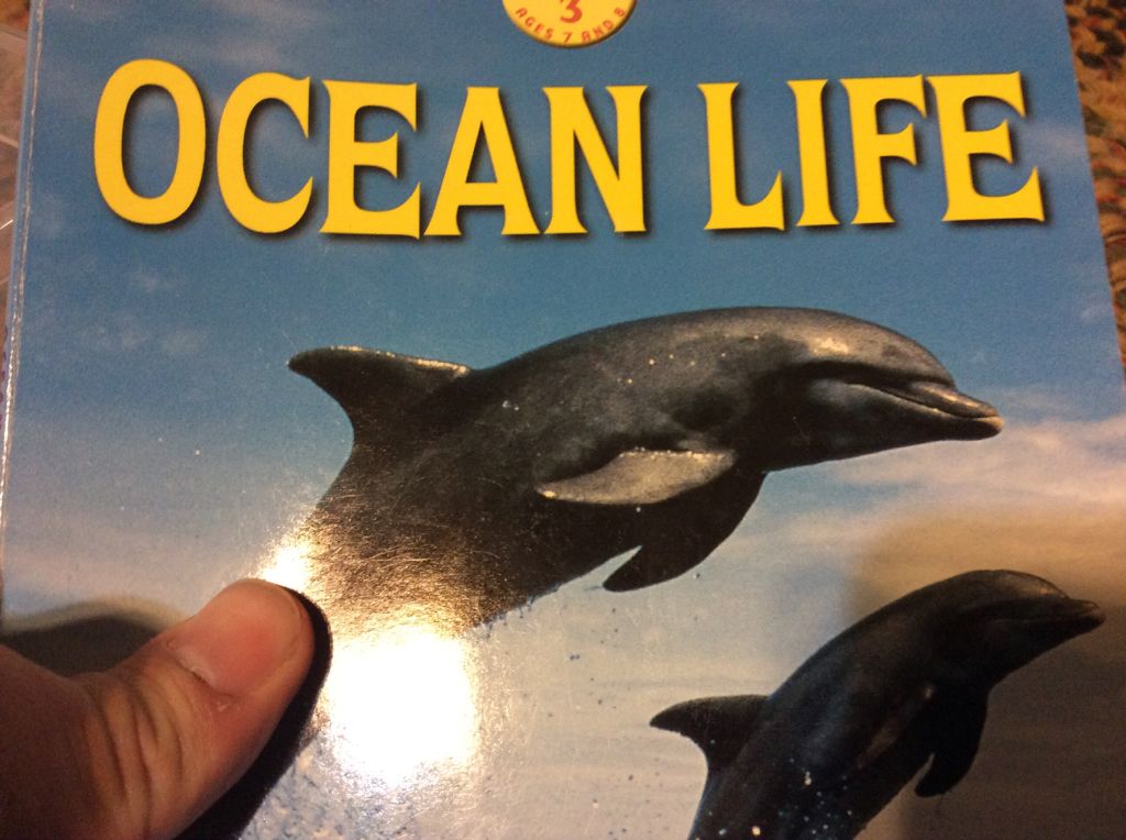 Ocean Life