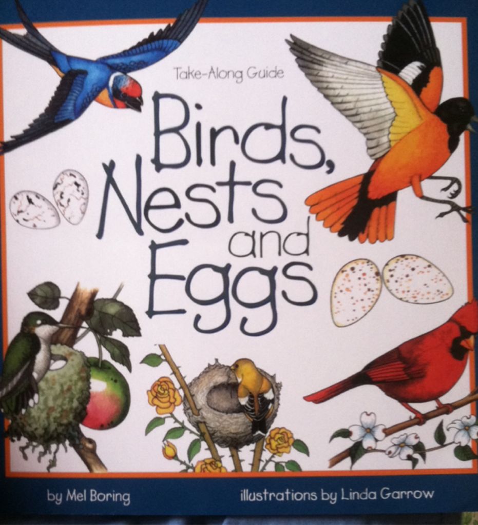 Birds, Nests And Eggs - Mel Boring book collectible [Barcode 9781941822548] - Main Image 1