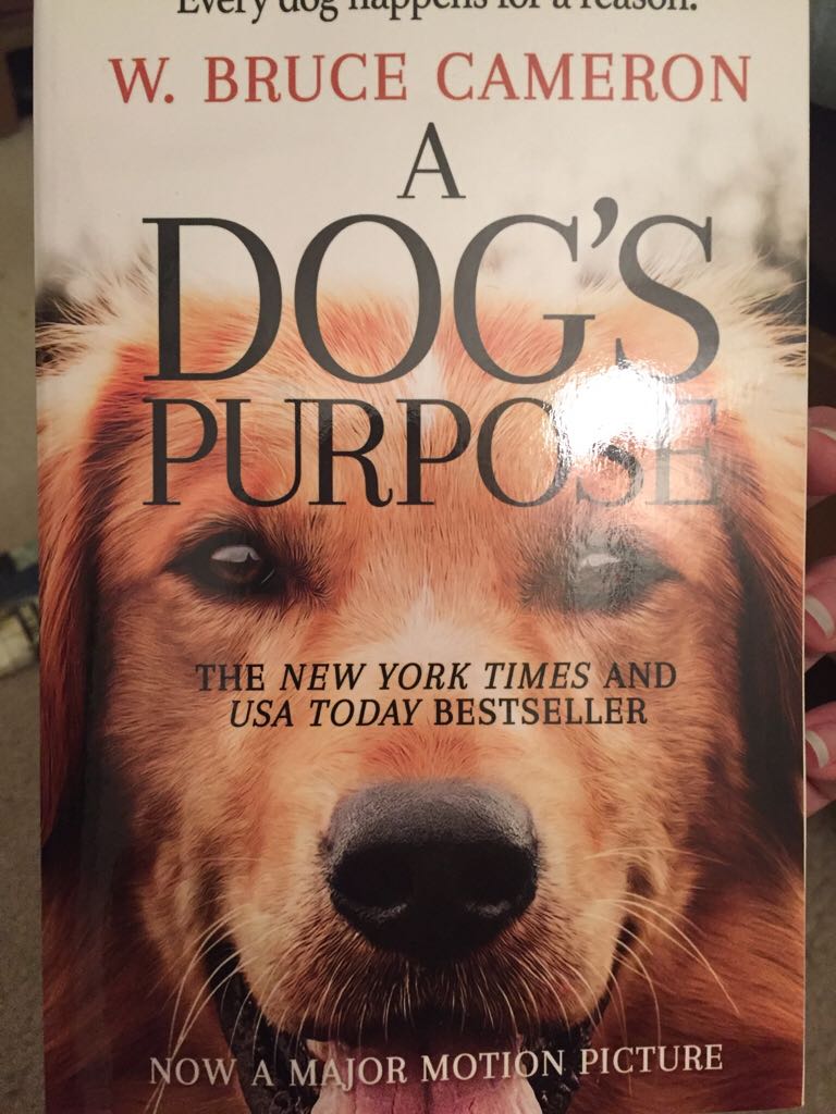 Dog’s Purpose, A