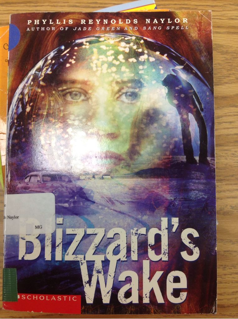 Blizzard’s Wake