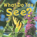 What Do You See?