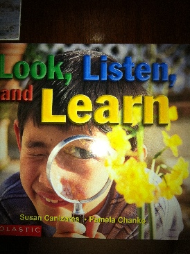 Look Listen And Learn