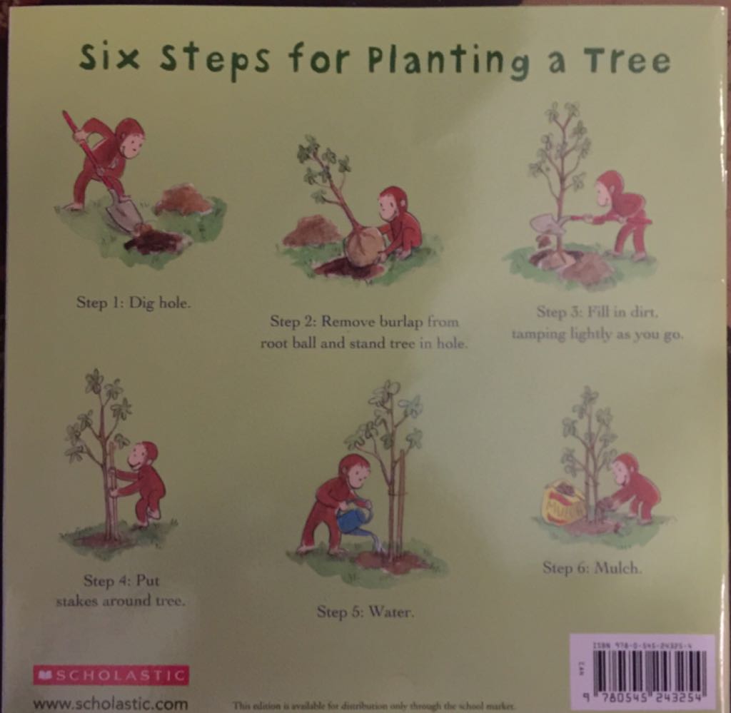 Curious George Plants A Tree - Margret & H.A. Rey (A Scholastic Press - Paperback) book collectible [Barcode 9780545243254] - Main Image 2