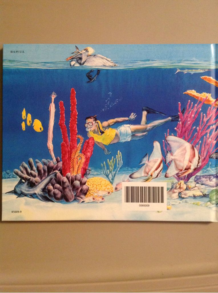 Underwater Alphabet Book, The - Jerry Pallotta (Brown Dog Press - Paperback) book collectible [Barcode 9780881064551] - Main Image 2
