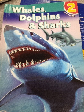 Whales, Dolphins & Sharks