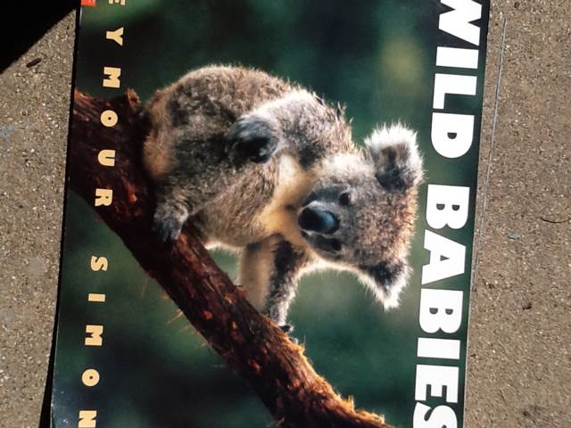 Wild Babies