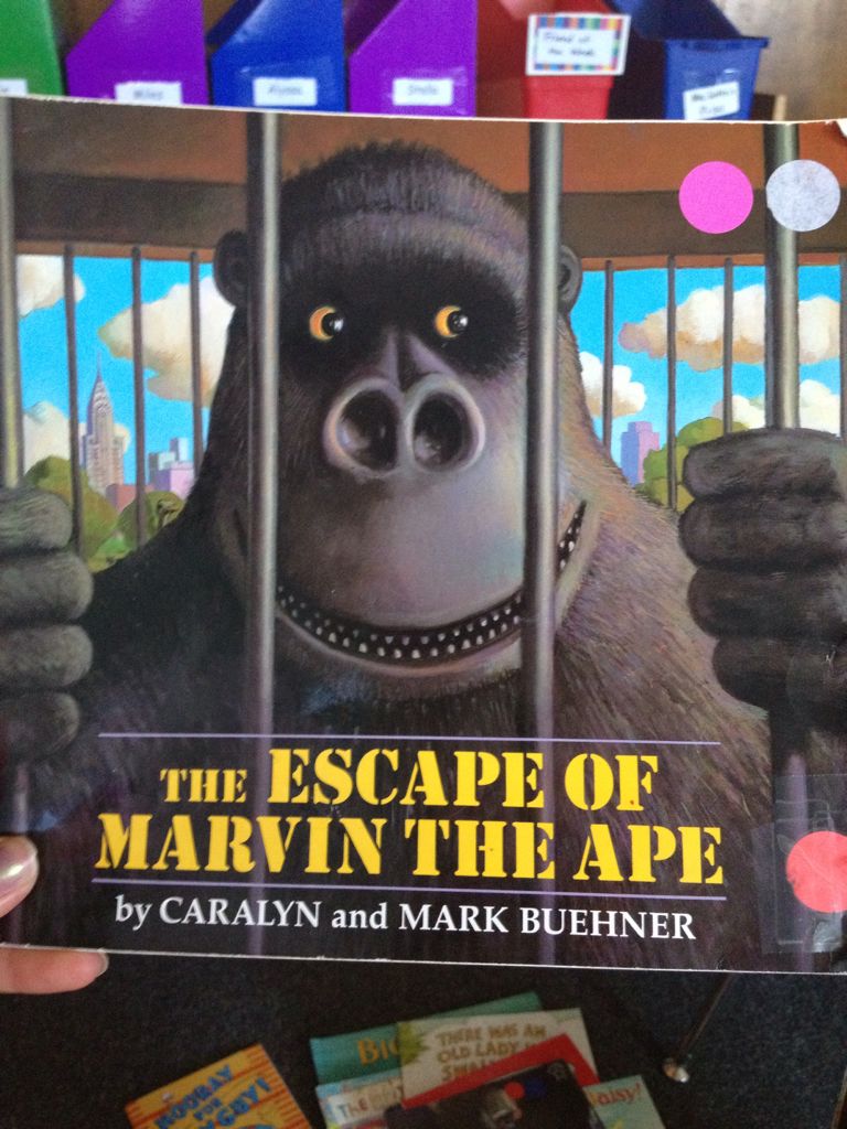 The Escape Of Marvin The Ape