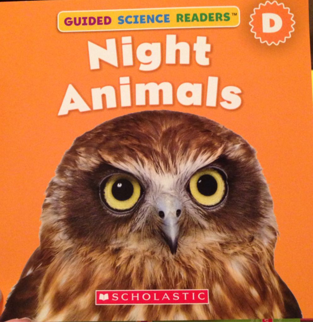 Night Animals