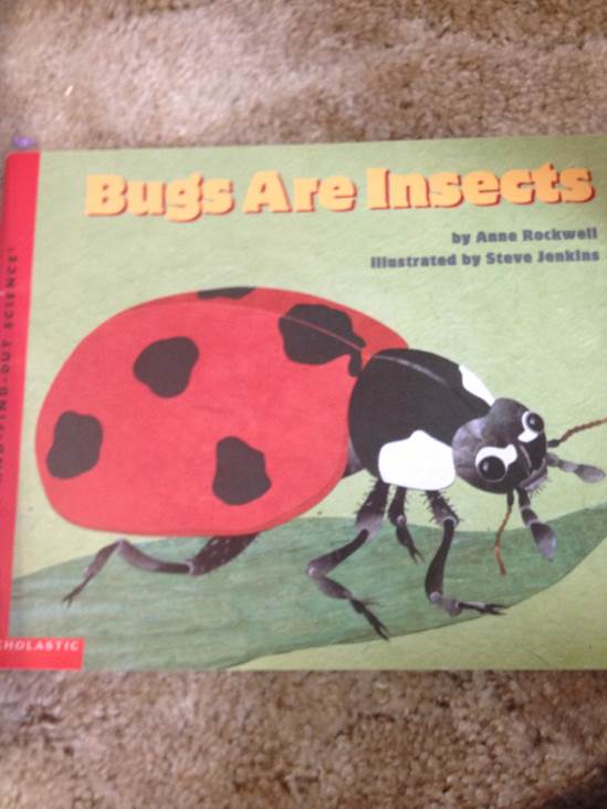 Bugs Are Insects
