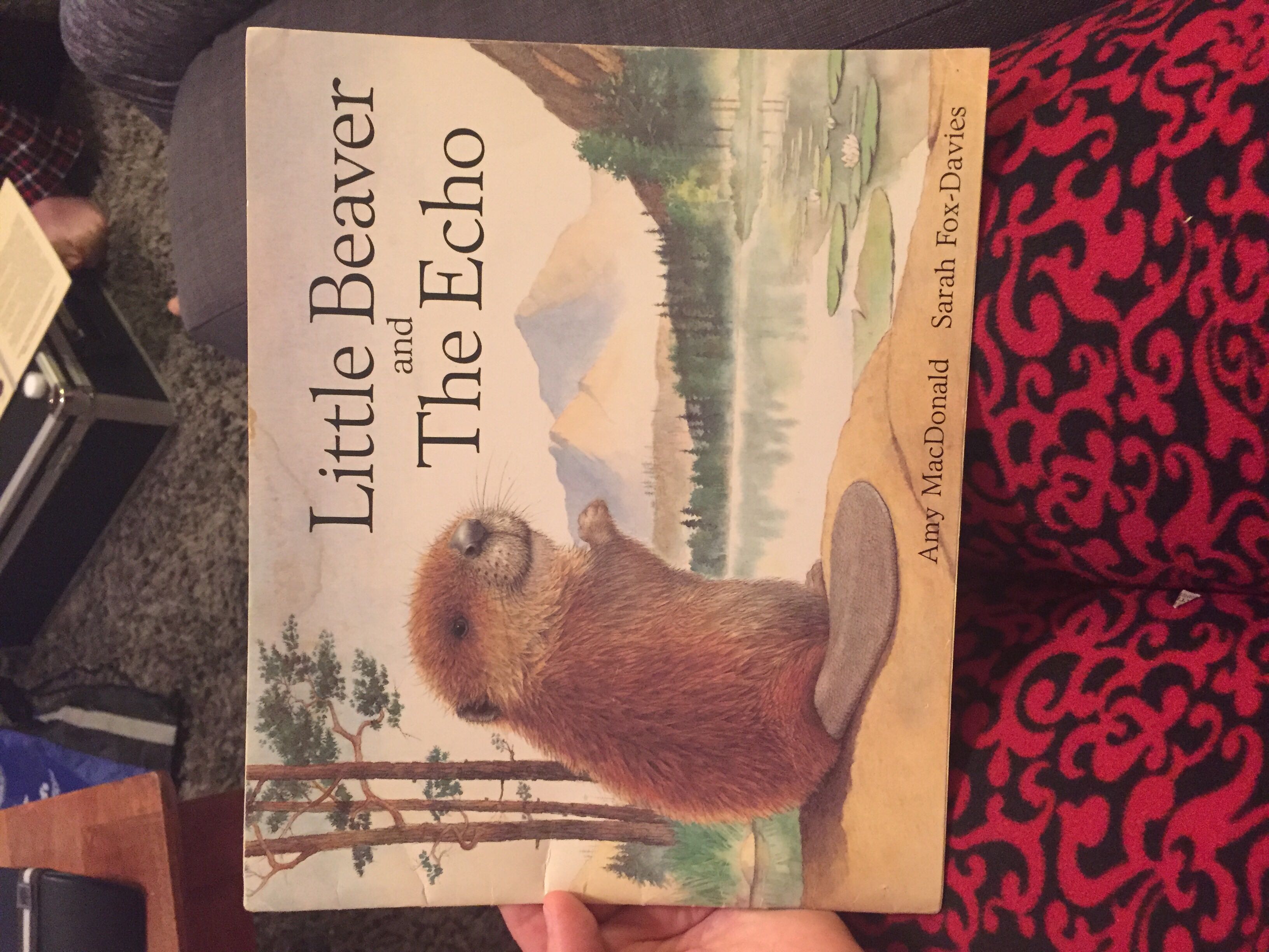 Little Beaver And The Echo - Amy MacDonald book collectible [Barcode 9780440846864] - Main Image 2