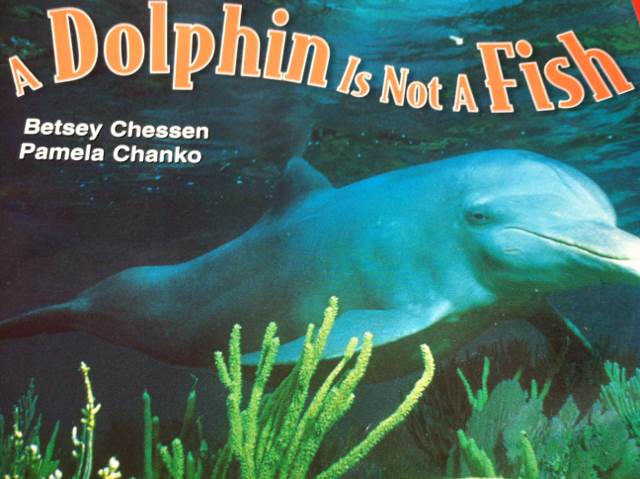 A Dolphin Is Not A Fish - Betsey Chessen (Scholastic Inc. - Paperback) book collectible [Barcode 9780590638821] - Main Image 1